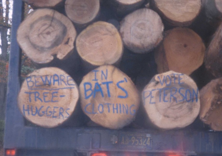 Figure 7: The Loggers Speak: ‘Beware of Tree Huggers in Bats’ Clothing’ (photo by author)